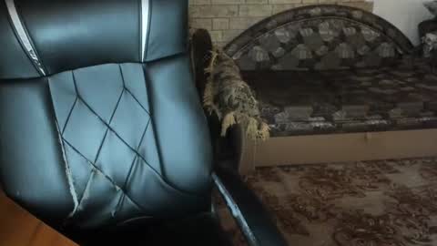 BoyApollon online show from 12/23/24, 07:38