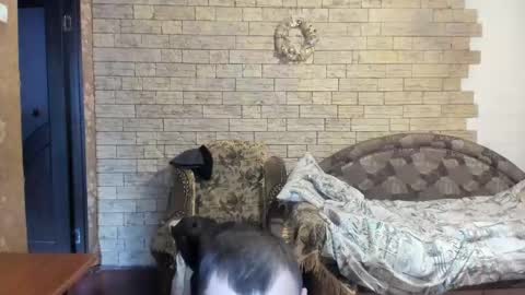 BoyApollon online show from 12/24/24, 12:11