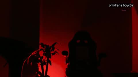 boyc02_ online show from 12/26/24, 12:03