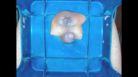 boyfantasies_11 online show from 01/11/26, 12:04