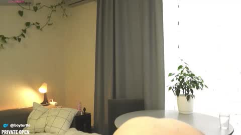 BoyTurtle online show from 11/05/25, 10:04