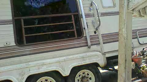 bpdbrittany online show from 02/09/25, 05:33