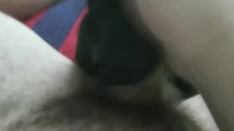 bpllpd online show from 12/23/25, 12:41