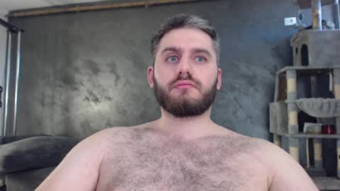 Snapshot of brad_pittfall chatting on 12/19/24, 11:18 ask me online show from 12/19/24, 11:18