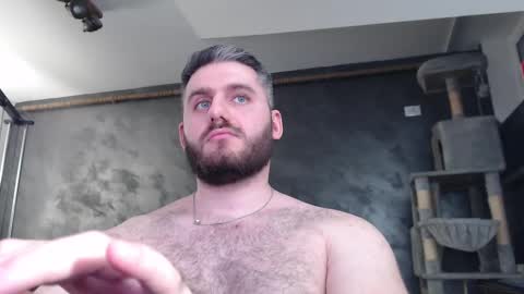 Snapshot of brad_pittfall chatting on 03/11/25, 12:22 ask me online show from 03/11/25, 12:22