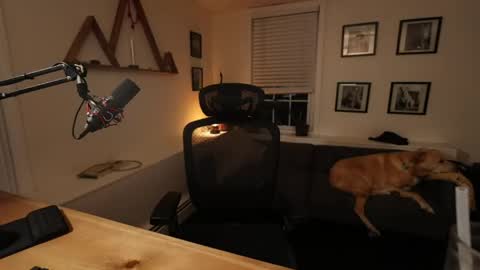 BradBronton online show from 05/13/26, 12:41