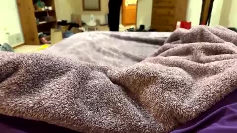 Snapshot of brandondot chatting on 12/16/24, 07:26 brandondot online show from 12/16/24, 07:26