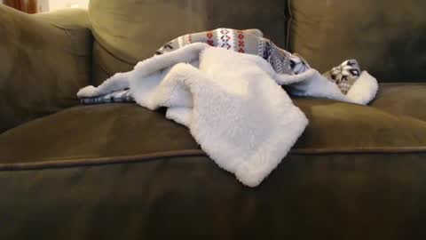 Snapshot of brandondot chatting on 12/31/24, 08:04 brandondot online show from 12/31/24, 08:04