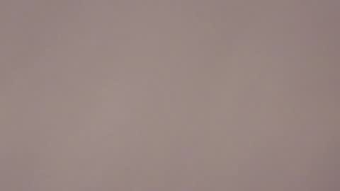 Brandy online show from 01/17/26, 07:24