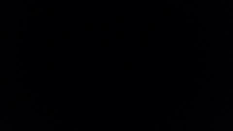 Brandy online show from 02/08/26, 11:13