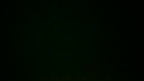 branngnu online show from 09/08/25, 07:24