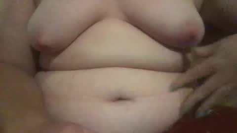 breeder1000 online show from 11/14/25, 12:53
