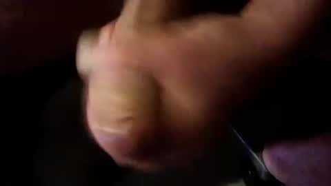 Breeder online show from 09/28/25, 10:04