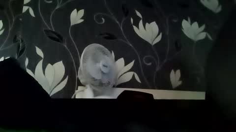 PB9944 online show from 09/14/25, 07:18