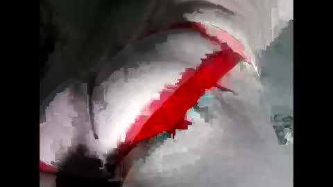 Anal-Prince online show from 11/19/25, 06:02