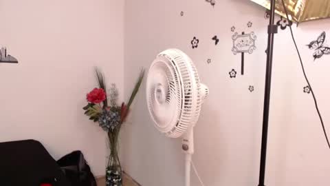 Brenda  online show from 01/29/25, 03:15