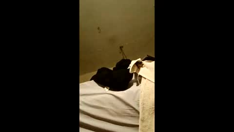 bricks4u online show from 04/18/26, 03:43