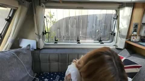  Want to see more online show from 05/25/26, 08:20