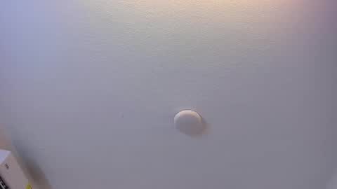 Brittany  online show from 03/08/26, 07:39