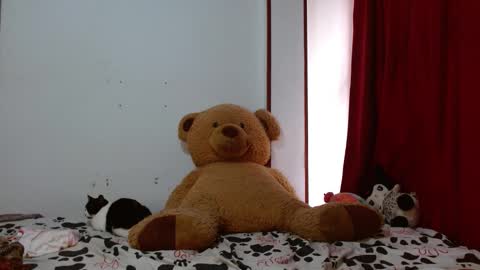 maru miaw   Please help me to reach 100 thumbs up online show from 11/12/25, 03:01