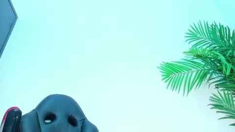 BRIYIT     online show from 02/01/25, 06:32