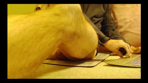 brode3 online show from 01/06/26, 04:05