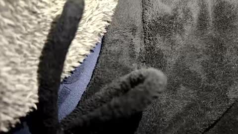 just a broken boy online show from 01/12/26, 07:08