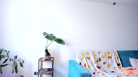  JOIN MY CHANNEL ON    TELEGRAM         online show from 02/19/26, 07:43