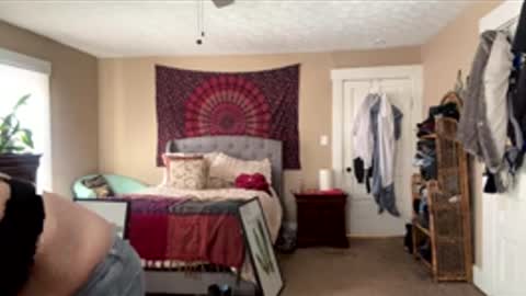 brookieslife online show from 02/12/26, 05:30