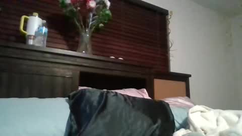 Snapshot of brownsugar0910 chatting on 12/15/24, 03:45 EtherealLilac online show from 12/15/24, 03:45