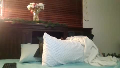 Snapshot of brownsugar0910 chatting on 12/26/24, 12:46 EtherealLilac online show from 12/26/24, 12:46