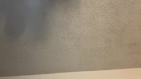 Snapshot of brownsugar0910 chatting on 02/11/25, 03:50 EtherealLilac online show from 02/11/25, 03:50