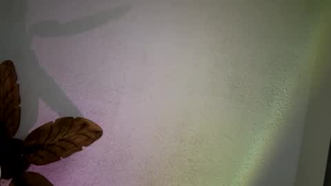 Snapshot of brownsugar0910 chatting on 03/11/25, 03:23 EtherealLilac online show from 03/11/25, 03:23