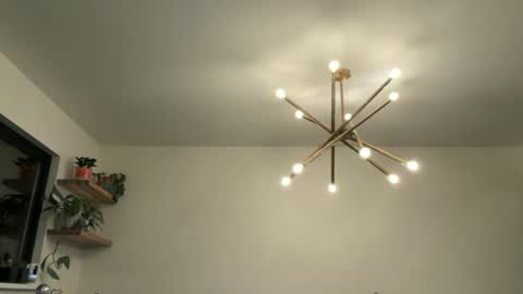 Bruce online show from 04/12/26, 04:39