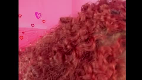 Lady  online show from 02/15/25, 07:39