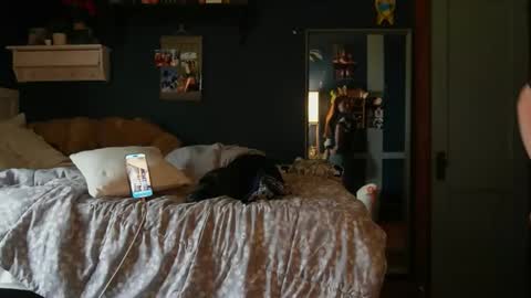 Snapshot of brunettebaby040 chatting on 10/24/25, 04:47 brunettebaby040 online show from 10/24/25, 04:47