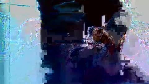 bruno5629 online show from 11/27/25, 01:13