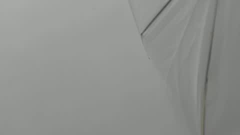 Snapshot of bruno_bellini chatting on 11/23/25, 11:10 Bruno Bellini online show from 11/23/25, 11:10