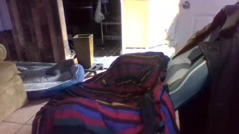 brutal3anddone online show from 10/16/25, 05:14