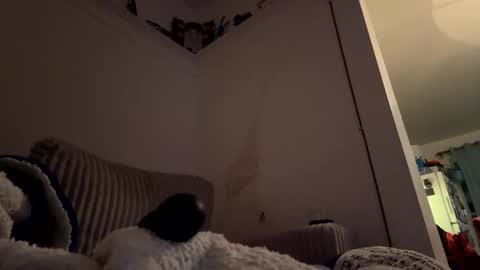 bubblya online show from 02/20/26, 06:19