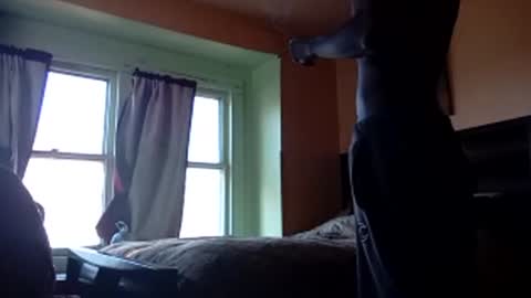 buddylovex online show from 11/04/25, 04:39