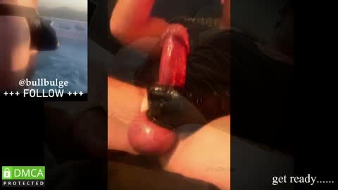 Snapshot of bullbulge chatting on 05/19/26, 03:02 Bull. online show from 05/19/26, 03:02
