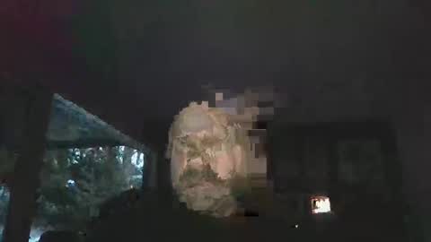 bulldog302w online show from 02/02/26, 10:41