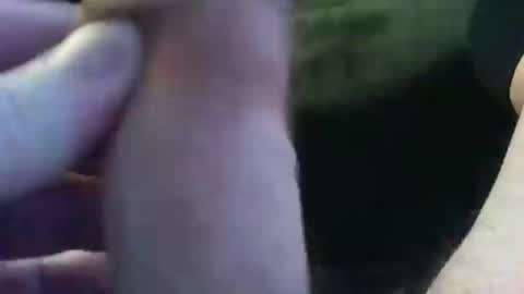 Snapshot of bullemoe chatting on 01/09/25, 07:42 bullemoe online show from 01/09/25, 07:42