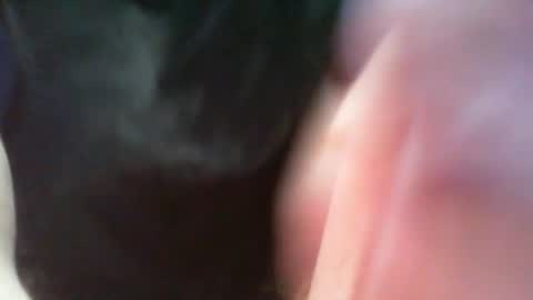 Snapshot of bullemoe chatting on 03/08/25, 07:05 bullemoe online show from 03/08/25, 07:05