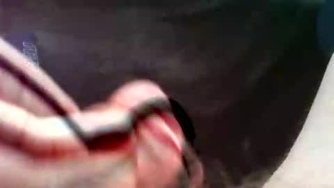 Snapshot of bullemoe chatting on 09/16/25, 02:51 bullemoe online show from 09/16/25, 02:51