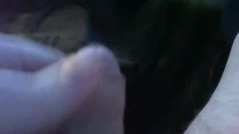 Snapshot of bullemoe chatting on 09/30/25, 05:23 bullemoe online show from 09/30/25, 05:23