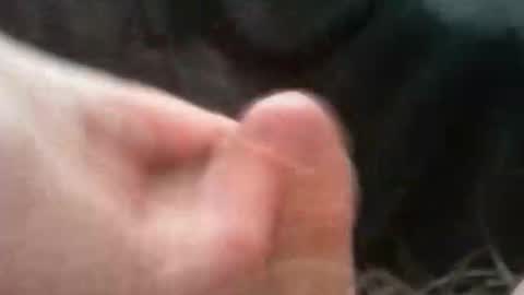 Snapshot of bullemoe chatting on 10/02/25, 07:04 bullemoe online show from 10/02/25, 07:04