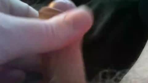 Snapshot of bullemoe chatting on 10/04/25, 02:37 bullemoe online show from 10/04/25, 02:37