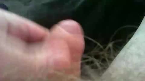 Snapshot of bullemoe chatting on 11/02/25, 11:23 bullemoe online show from 11/02/25, 11:23